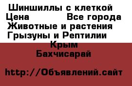 Шиншиллы с клеткой › Цена ­ 8 000 - Все города Животные и растения » Грызуны и Рептилии   . Крым,Бахчисарай